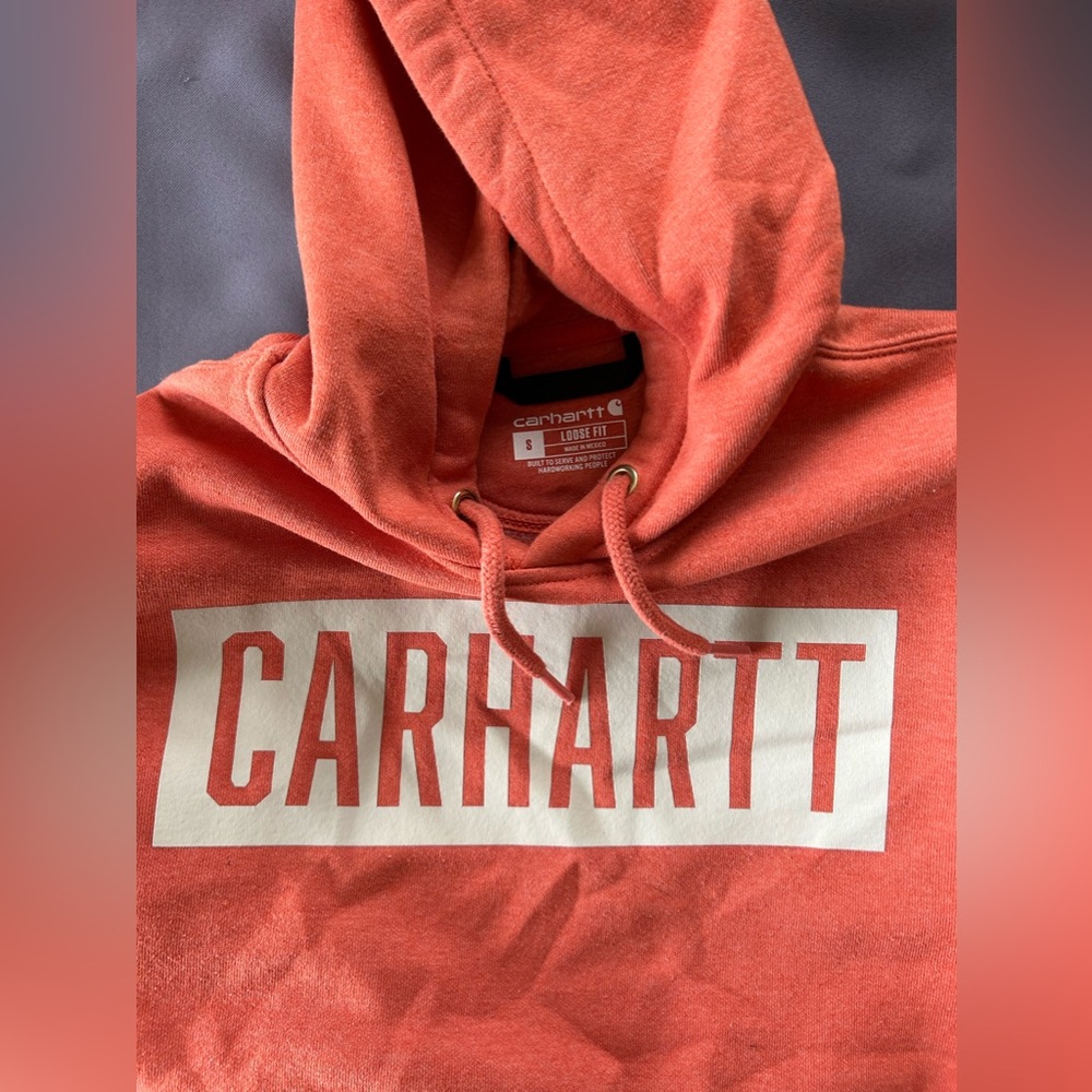 Omens carhartt hoodie